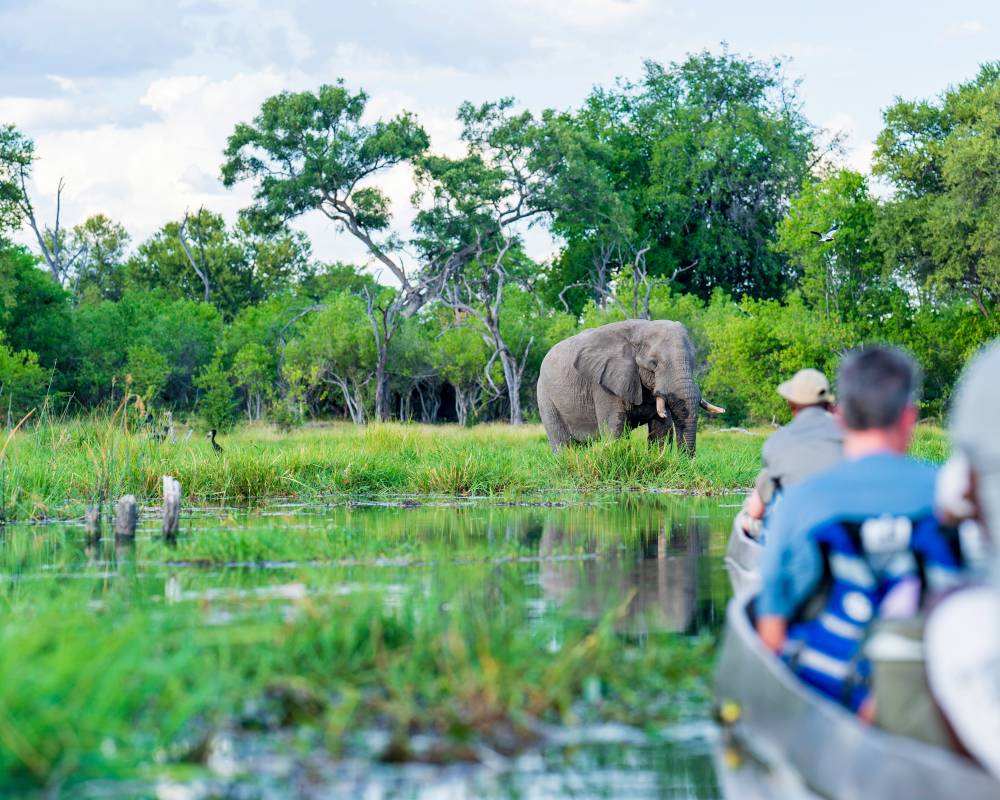 Scenic mokoro safari on Khwai River, Okavango Delta, Botswana